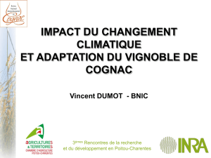 Impact_du_CC_et_adaptation_en_viticulture