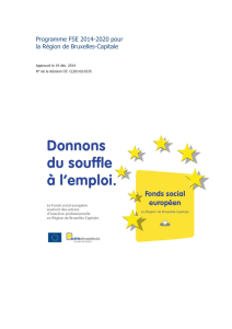 Programme FSE 2014-2020 pour la Région de Bruxelles