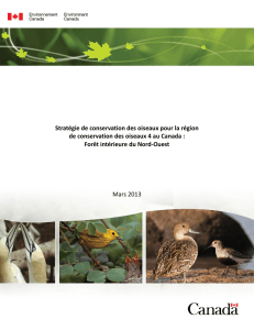 Stratégie pour la RCO 4 - North American Bird Conservation Initiative