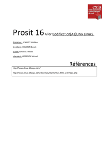 Prosit 16 Aller:Codification[A1]Unix Linux2. Animateur : SCHMITT