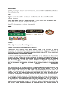 GOLDEN EAGLE Bandeau : changement aléatoire toute les 10