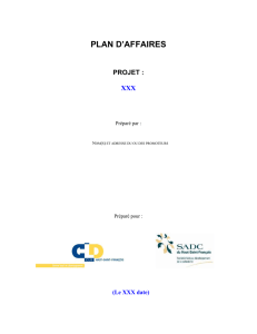 plan d`affaires - CLD du Haut-Saint