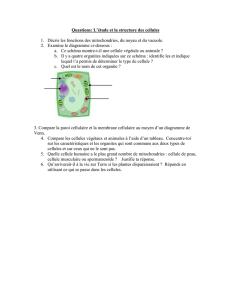 Questions: L`étude et la structure des cellules