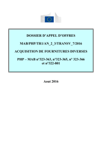 DOSSIER D`APPEL D`OFFRES MAB/PHP/TR1/AN_2_3/TRANSV_7