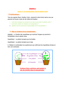 Chapitre 1 Leçon 2 : La transpiration chez la plante verte