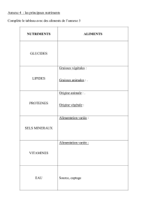 Annexe 4 bis : les principaux nutriments