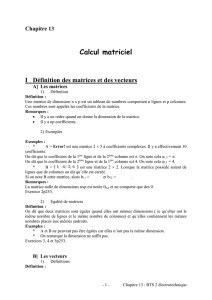 Chapitre_13_Calcul_matriciel