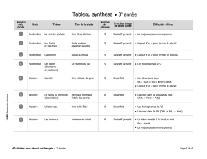 Tableau synthèse ()