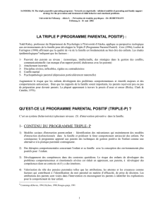 Programme Triple-P