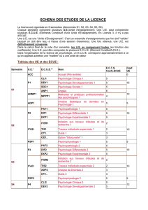 schéma des études de la licence