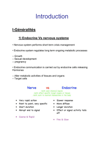 Introduction I-Généralités 1) Endocrine Vs nervous systeme