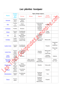 Plantes Partie(s) toxique de la plante Signes clinique majeurs