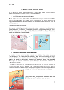 La th&eacute;rapie &agrave; travers les cellules souches