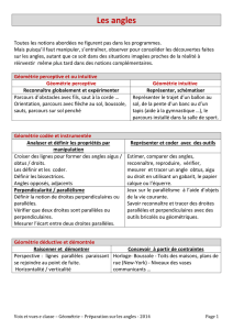 Les angles Toutes les notions abordées ne figurent pas dans les