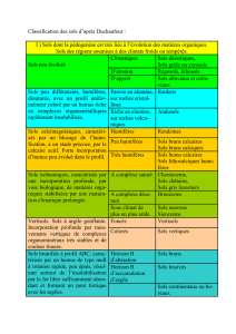 Sols dont la pédogenèse est très liée à l`évolution des matières