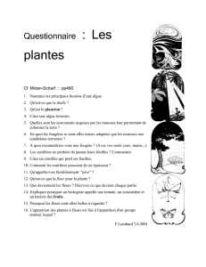 Questionnaire : Les plantes Cf Miram