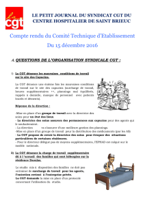 le petit journal du syndicat cgt du 2016 12 15