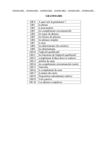 gr. 16 le complement du nom