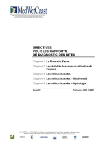 DIRECTIVES POUR LES RAPPORTS DE DIAGNOSTIC DES SITES
