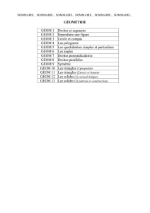 Leçons de géométrie références communes école collège