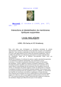 malaquin (180 Ko) - Iramis