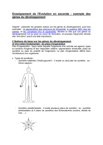 Enseignement de L`évolution