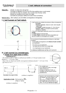 L`oeil, défauts et correction Objectifs :