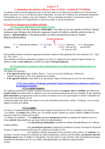 cours n°5 - incertae