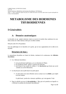 III- Le catabolisme des hormones thyroïdiennes