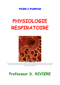 PHYSIOLOGIE RENALE