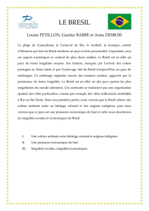 LE BRESIL