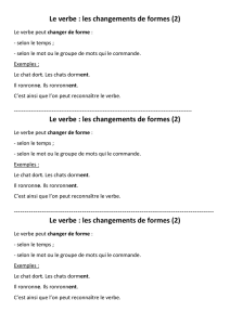 Le verbe : les changements de formes (2)