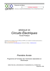 Circuits Électriques