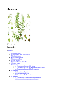 wikiphyto - doc-developpement