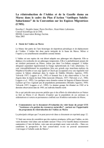 Statut de l`Addax au Maroc - Conservation Biology Section
