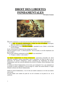 DROIT DES LIBERTE FONDAMENTALES(1).