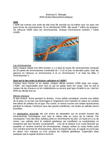Sciences 9 : Biologie ADN (Acide Désoxyribonucléique) ADN L`ADN