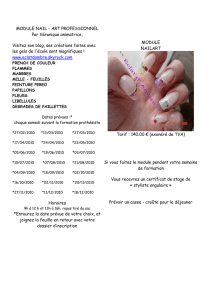 module nail - art professionnel - Ongles et Formation de la Largue