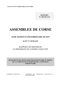 le rapport du président du conseil exécutif de Corse