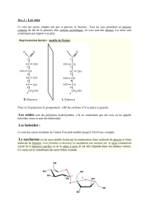 Les monomères de glucose sont liés entre eux par des liaisons (1-4)