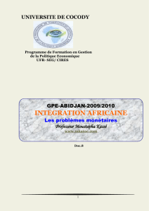 Les enjeux de la CREATION D`UN ESPACE MONETAIRE OPTIMAL