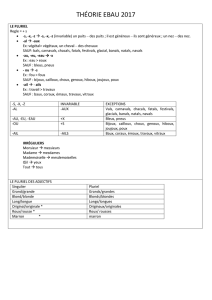 THÉORIE EBAU 2017 LE PLURIEL Regle = + s -s, -x, -z à -s, -x,