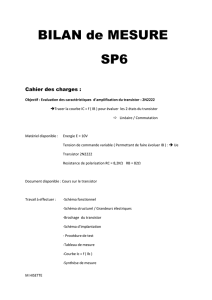 BILAN de MESURE SP6 Cahier des charges : Objectif : Evaluation