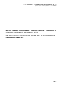 CSESS &ndash; Contribution &agrave; la strat&eacute;gie nationale de d&eacute;veloppement de