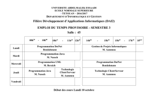 Emploi du temps DUT DAI S3