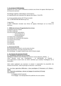 I &ndash; Le cerveau et l`information