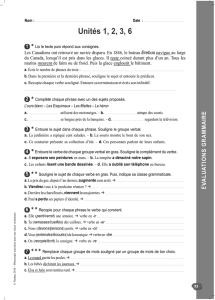 Évaluation générale en grammaire - Collection Mille-feuilles