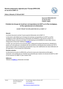 avant-Projet de Déclaration de la CMDT-17