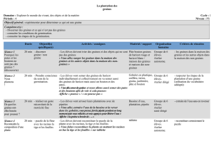 2) La_plantation_des_graines