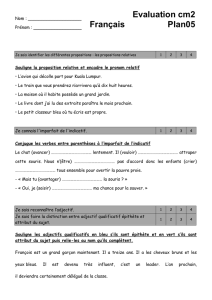 Evaluation cm2 Français Plan05